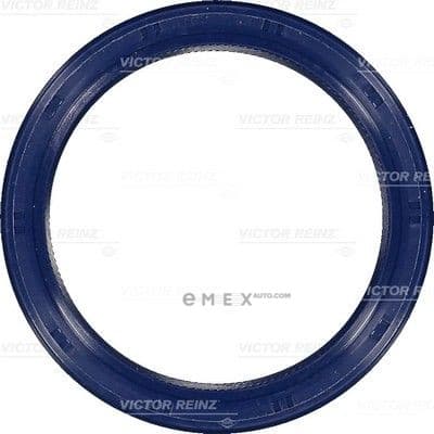 OEM SEAL RING 815330100