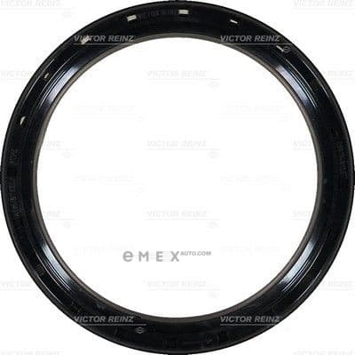 OEM SEAL RING 813743900