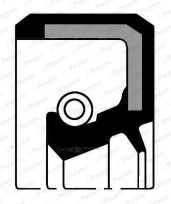 OEM OIL SEAL NJ022