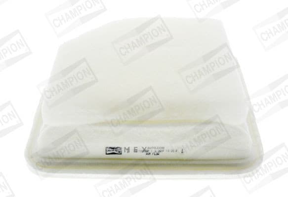 OEM FILTER ASSY, AIR ELEMENT CAF100874P