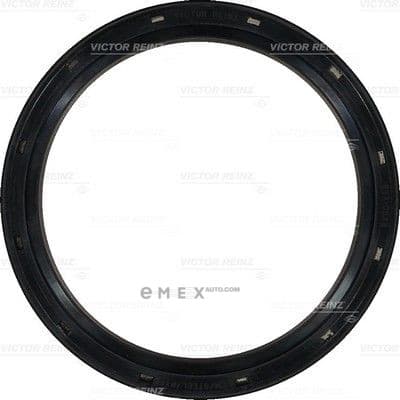 OEM SEAL RING 813853200