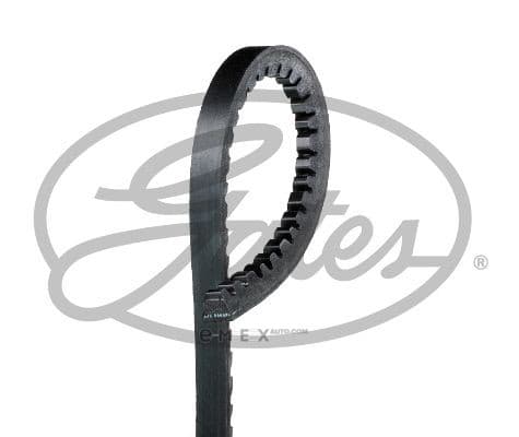 OEM AR-V-BELTS HEAVY DUTY 6493EXL