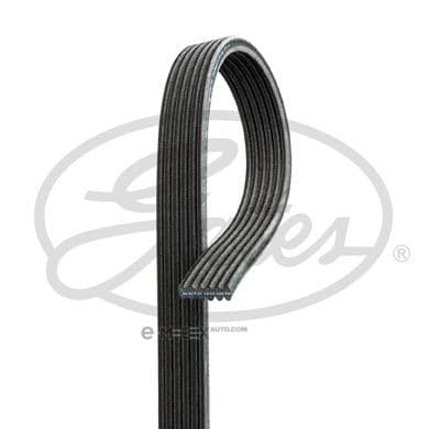 OEM BELT, V 6DPK1825