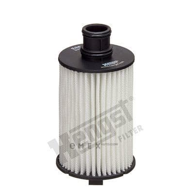 OEM OIL FILTER E863HD360