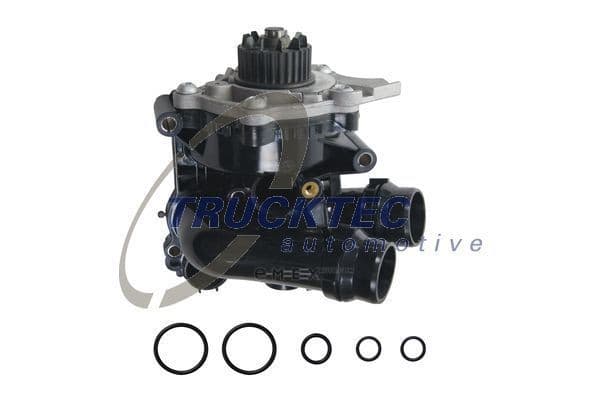 OEM WATER PUMP WITH HSG/REGULATOR 0719294