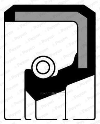 OEM SEAL RING NF746