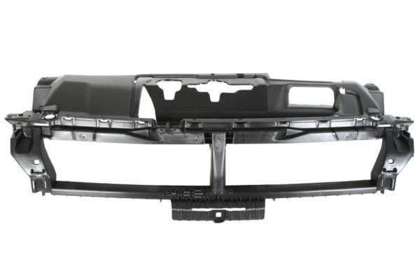 OEM GRILLE COVER ASSY, SPEAKER 6502075519993P