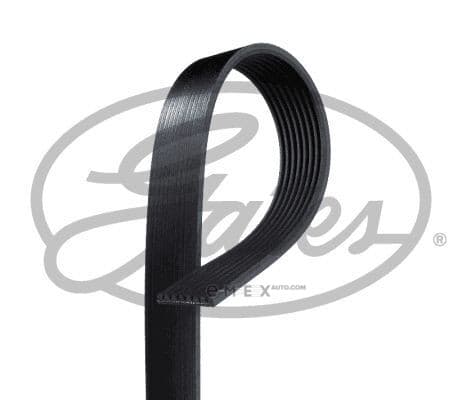 OEM BELT, V 8PK2415HD