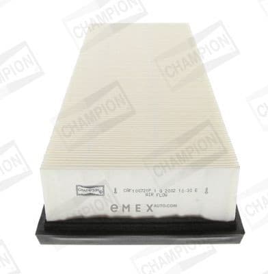 OEM FILTER ASSY, AIR ELEMENT CAF100721P