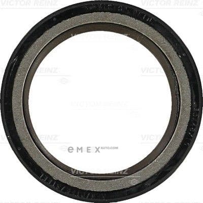 OEM SEAL RING 813679100