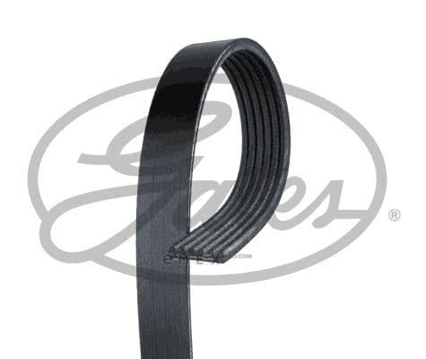 OEM BELT, V 6PK2573