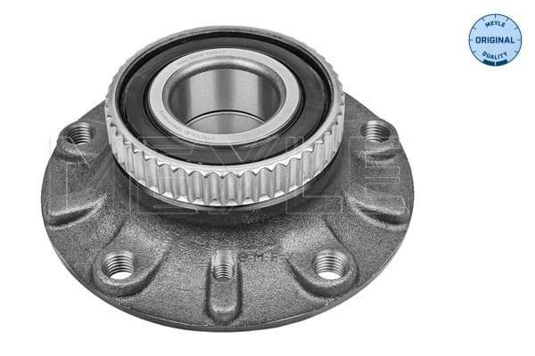 OEM WHEEL HUB ASSY 3006520007