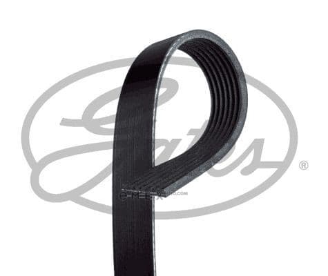 OEM BELT, V 7PK1663