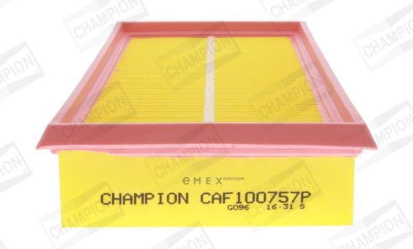 OEM FILTER ASSY, AIR ELEMENT CAF100757P