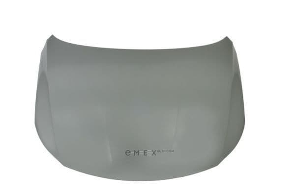 OEM HOOD 6803009540281P