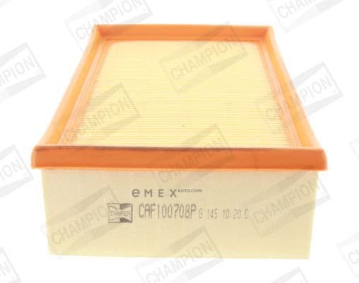 OEM FILTER ASSY, AIR ELEMENT CAF100708P