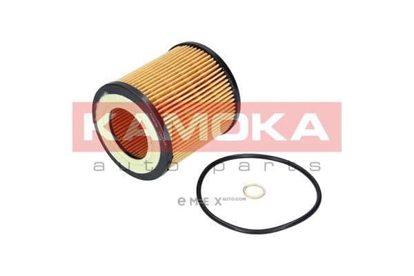 OEM OIL FILTER F109701