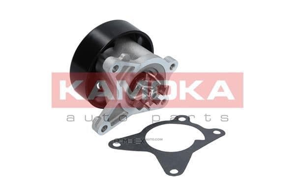 OEM WATER PUMP ASSY T0223