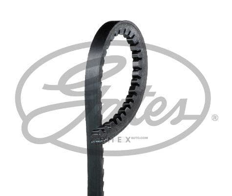 OEM BELT, TIMING AVX10X1125HD