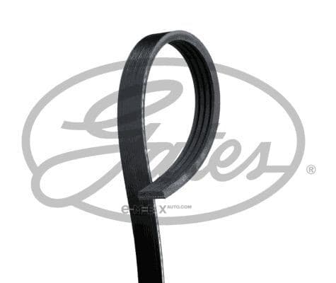 OEM BELT, V 4PK910SF