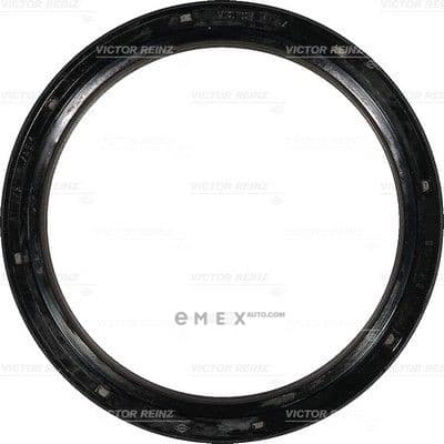 OEM SEAL RING 812074500