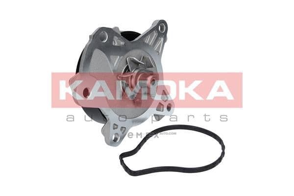 OEM WATER PUMP T0262