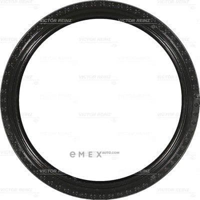 OEM SEAL RING 811040800