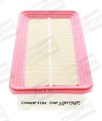 OEM FILTER ASSY, AIR ELEMENT CAF100792P