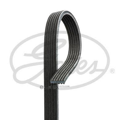 OEM BELT, V 6DPK1352