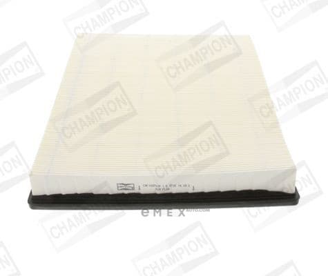 OEM FILTER ASSY, AIR ELEMENT CAF100707P