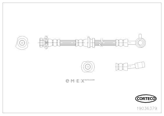 OEM 19036379