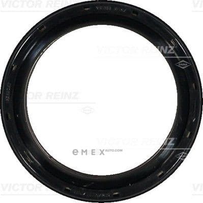 OEM SEAL RING 813853100