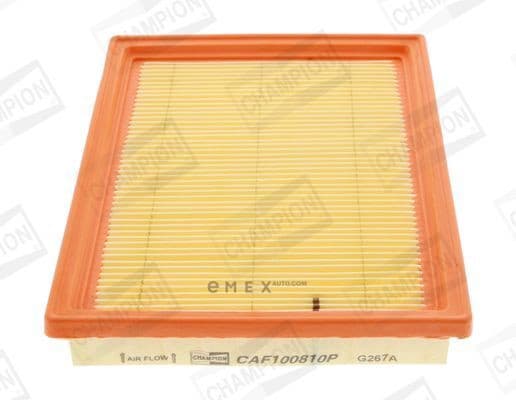 OEM FILTER ASSY, AIR ELEMENT CAF100810P