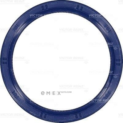 OEM SEAL RING 815333800