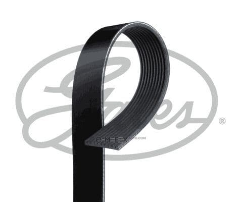 OEM BELT, V 10PK1403HD