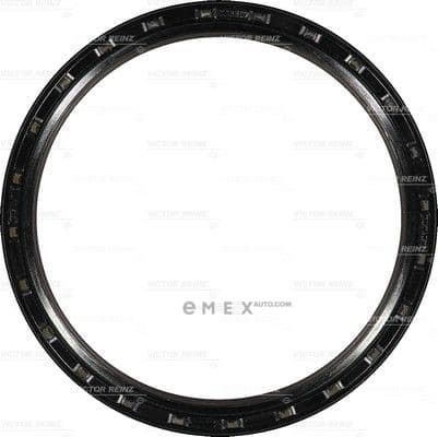 OEM SEAL RING 812311330