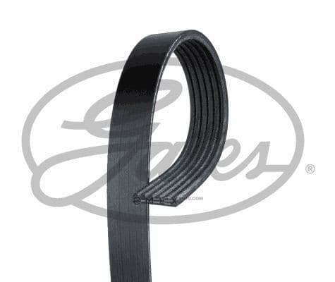 OEM BELT, V 6PK2050HD