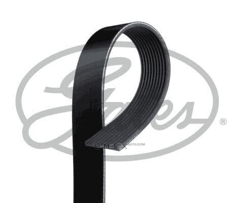 OEM BELT, V 10PK1445HD