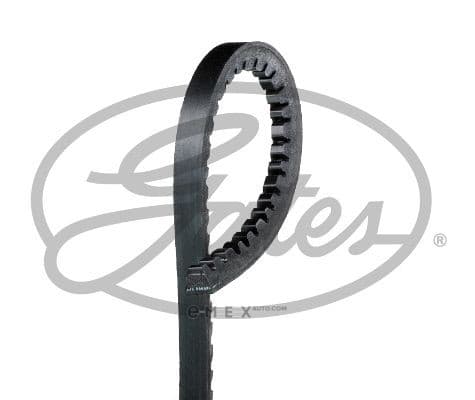 OEM AR-V-BELTS 6560MC