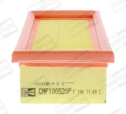 OEM FILTER ASSY, AIR ELEMENT CAF100520P