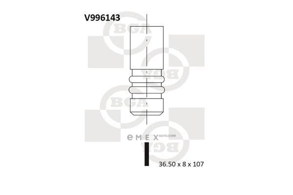 OEM V996143