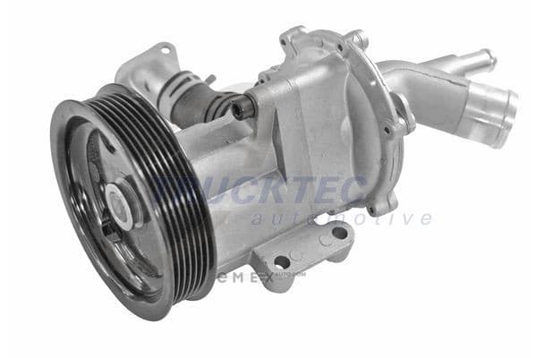 OEM WATER PUMP ASSY 0819192