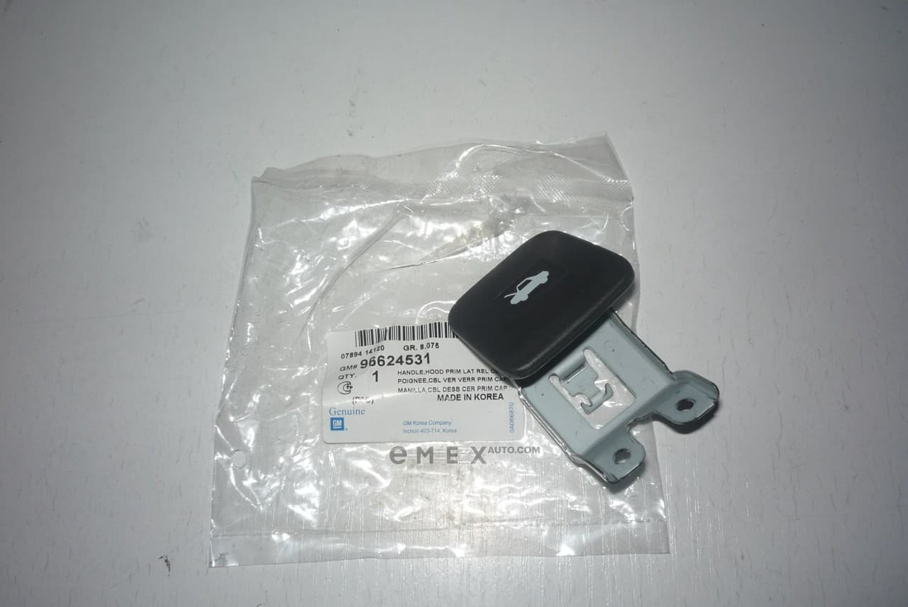 OEM HANDLE ASM-HOOD PRIM LAT 96624531