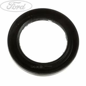 OEM SEAL RING 4811679