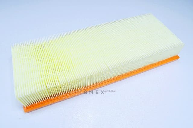 OEM AIR FILTER 165465463R