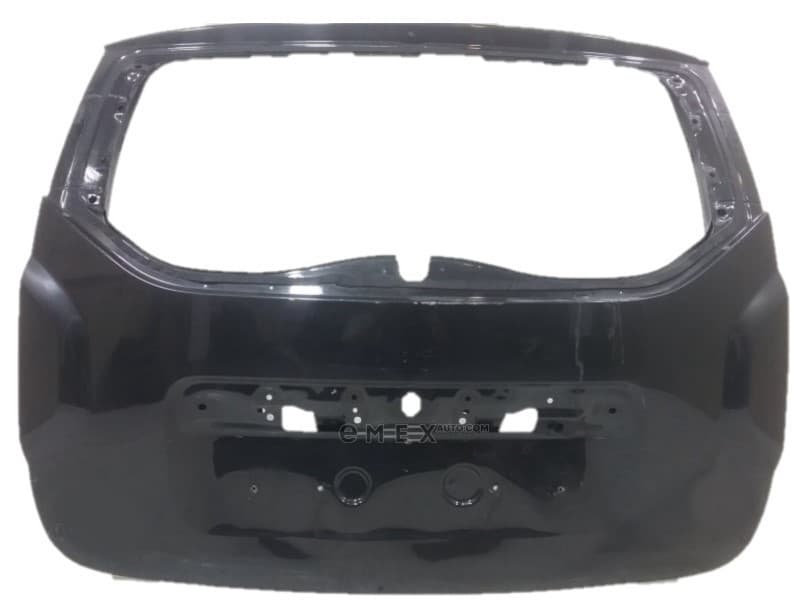 OEM DOOR ASSY, LUGGAGE COMPARTMENT 901008732R