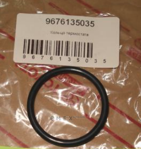 OEM RING,O 9676135035