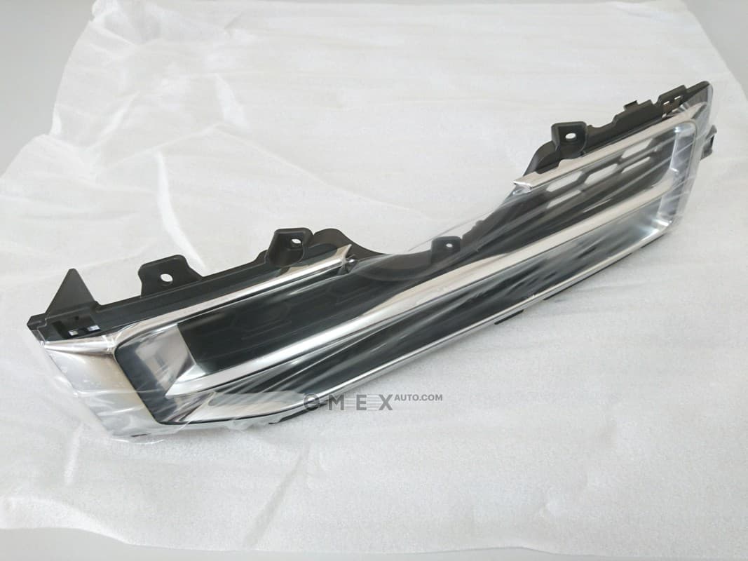 OEM GRILLE,FRTBPRLWRFASCIAGRL 96865487