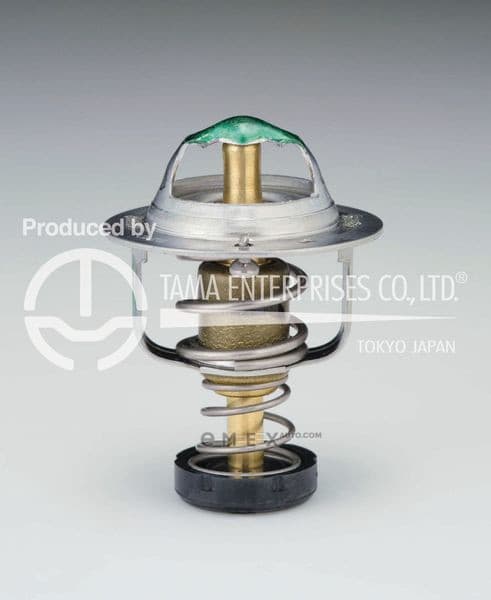 OEM THERMOSTAT ASSY WV44DB82