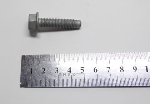 OEM BOLT, METAL 11588725